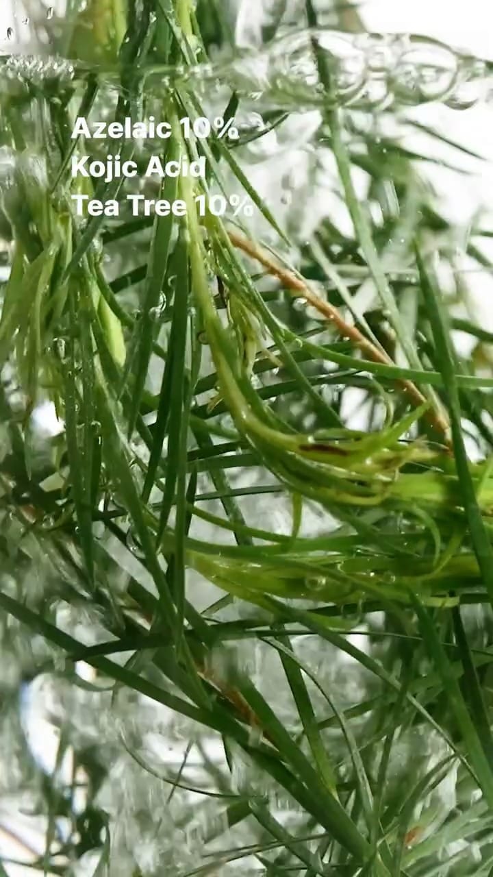 Agetune 38 584444967 18296516542260390 885680008897501869 n