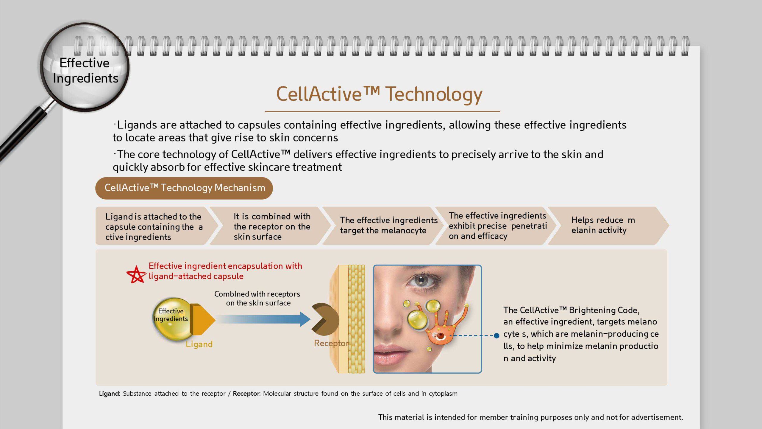 ATOMY Absolute Essence Sunscreen