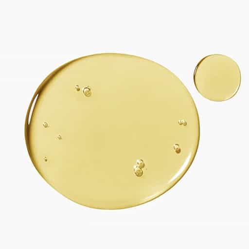 Galactomyces Ingredient