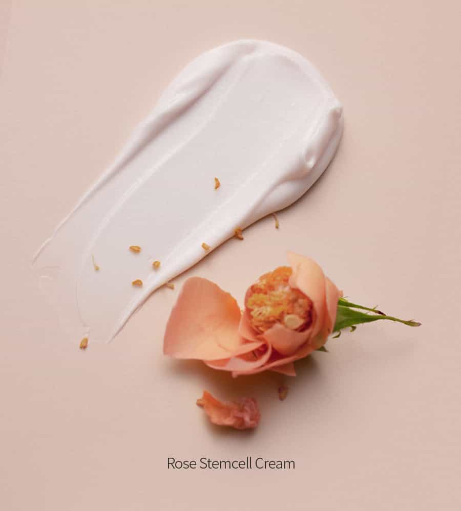 BONAJOUR Rose Stem Cell Cream