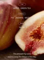 I’M FROM-Fig Foam Cleanser Key Ingredients