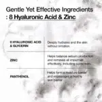 Anua 8 Hyaluronic Acid Hydrating Gentle Foaming Cleanser Key Ingredients